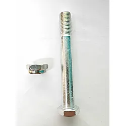 Beast Longboard Kingpin and Nut 70mm