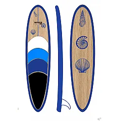 Saltwater Creative 11.0 Premium Paddleboard Package Shells