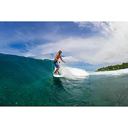 Torq Surfboard 8.0 Longboard  Classic