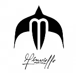 Minvielle Surfboards