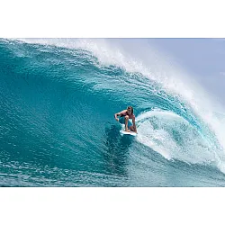 Torq Surfboard 5.11 Mod Fish Carbon Strip